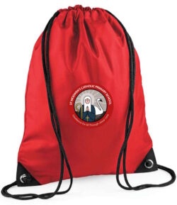 St Modwen's PE Bag