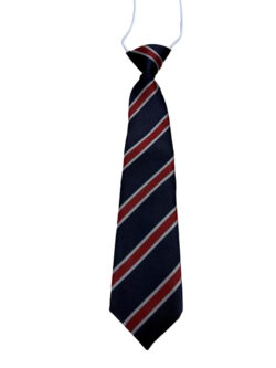 St Modwen's Elasticated Tie