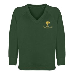 Overseal Primary V-neck Sweatshirt